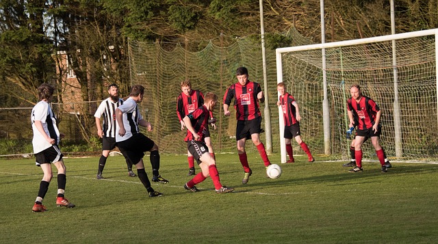 活的全部 活的全部