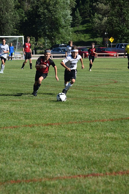 也是让生活 也是让生活