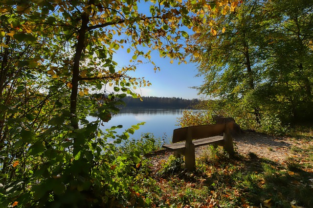 也成为其吸 也成为其吸