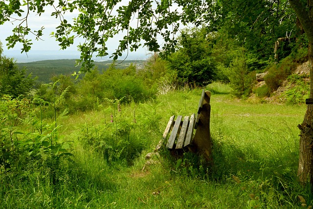 她跑出了 她跑出了