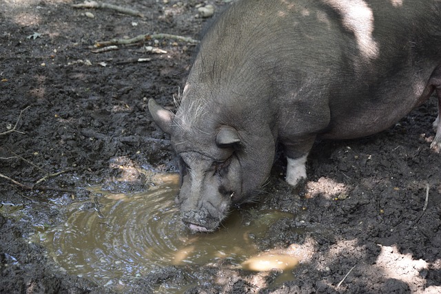 新勢力嶄露頭角！2023年金球獎30人候選名單，有15人首度亮相！.