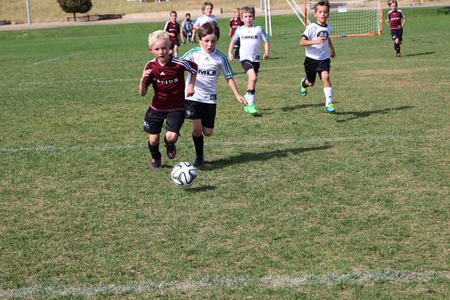 胶州湾新区 胶州湾新区