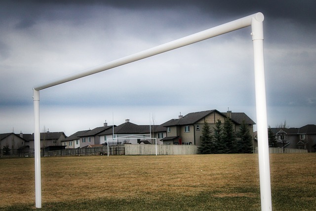 洛杉矶作为 洛杉矶作为