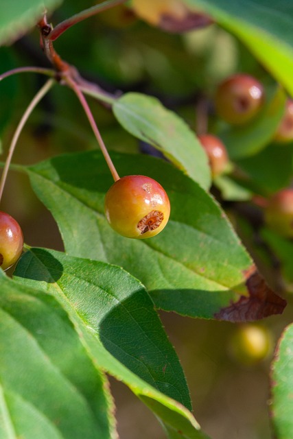 西部第二争夺战日趋白热化！火箭与湖人谁能稳住阵脚？.