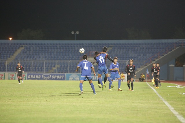 水晶宮考慮多位候選人 仍盼霍奇森留任主教練.