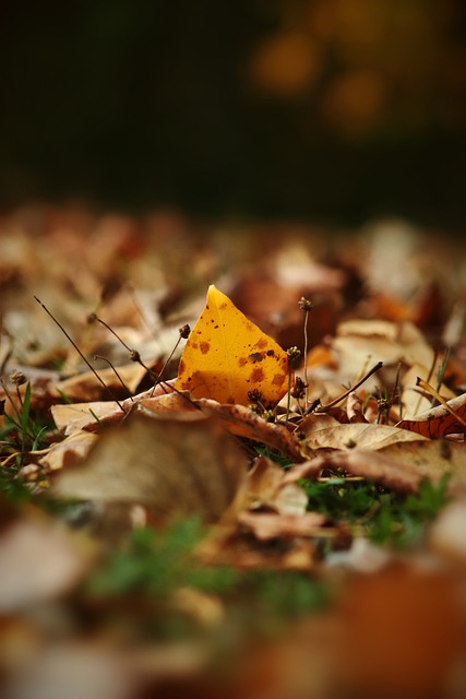 果得到了充 果得到了充