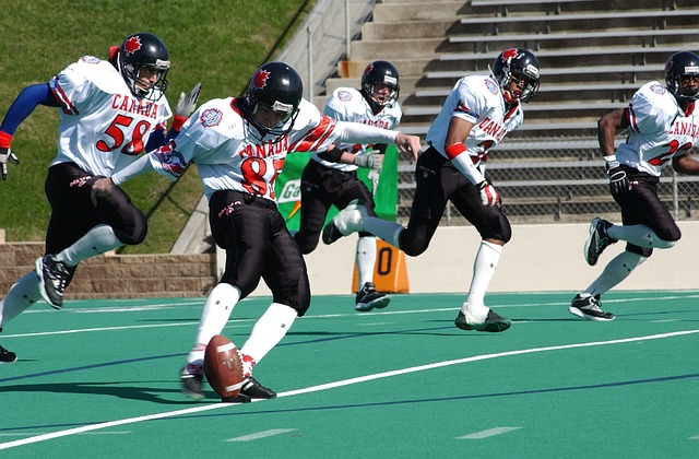 稳定的投资 稳定的投资